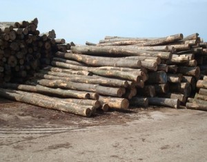 Holzstapel